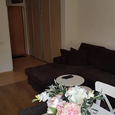 Cozy Garden Free Parking Vilnius Exterior photo